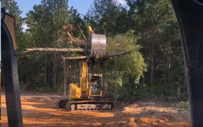 Why is land clearing important?